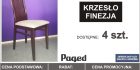 FINEZJA