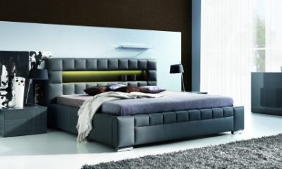 New Elegance - Cezar