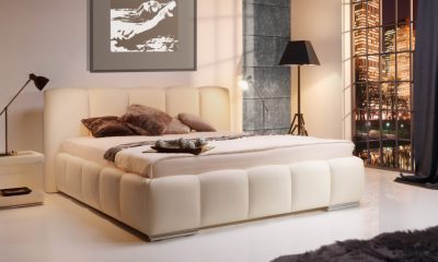 New Elegance - Carrera
