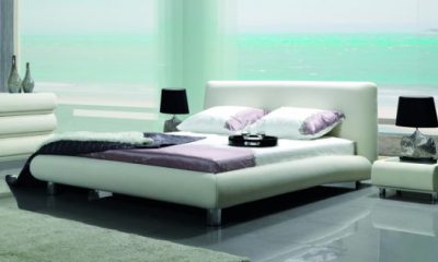 New Elegance - Morfeusz